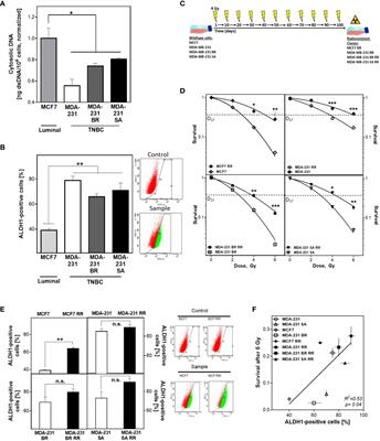 Efficient DNA Repair Mitigates Replication Stress Resulting in Less Immunogenic Cytosolic DNA in Radioresistant Breast Cancer Stem Cells